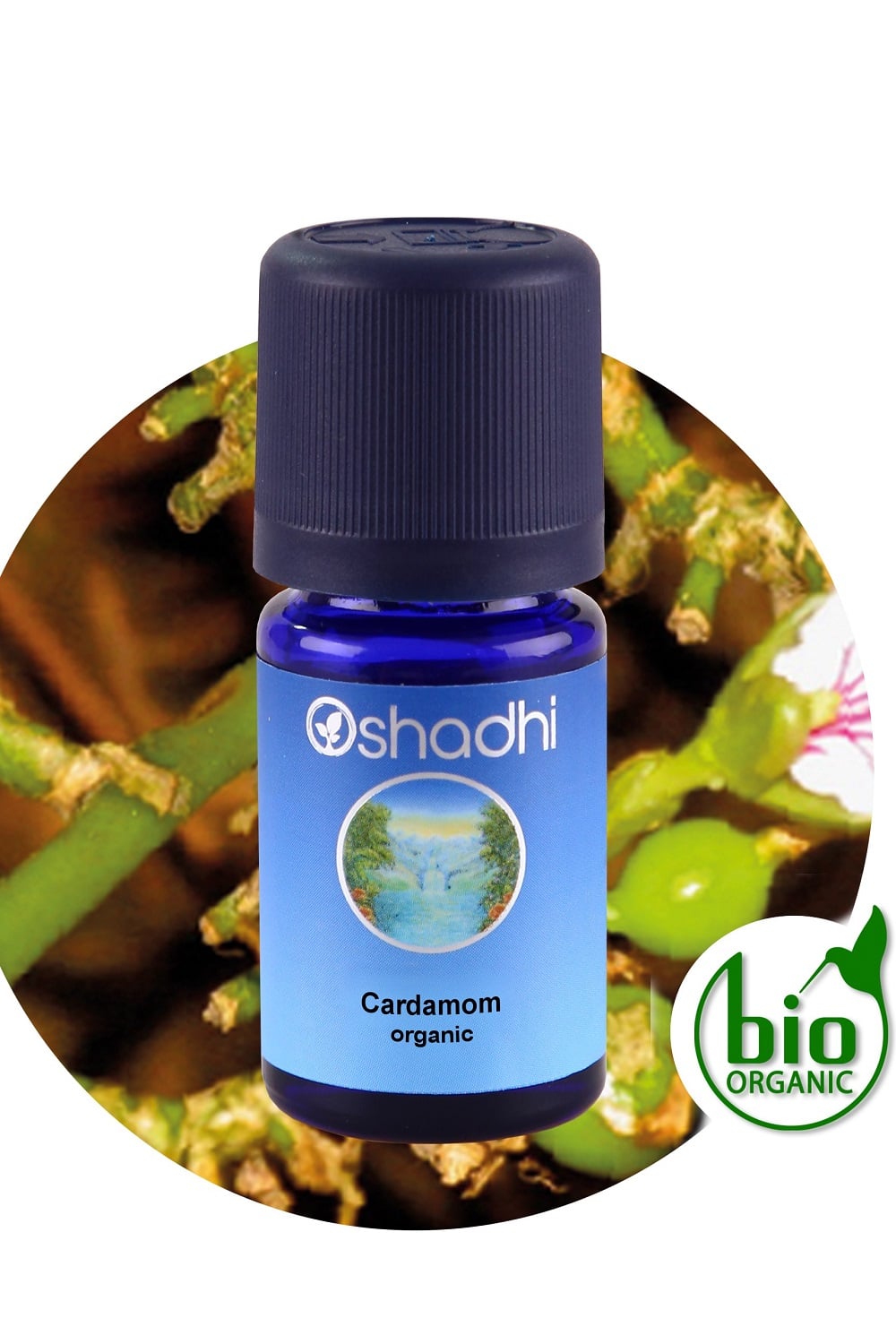 Cardamom20organic-1.jpg