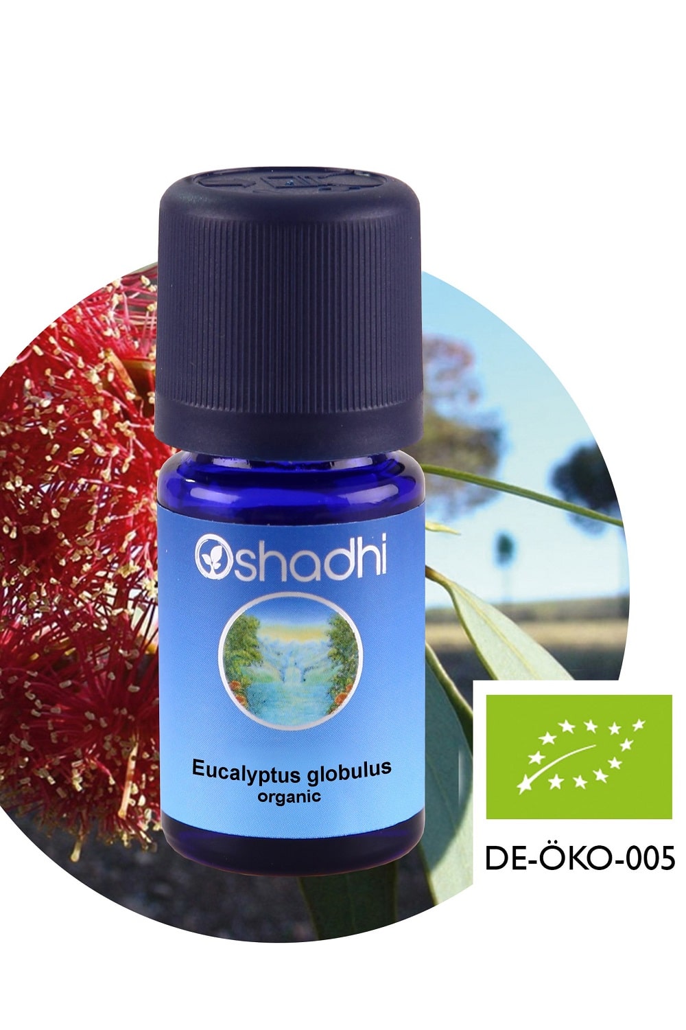Eucalyptus20globulus20organic-1.jpg