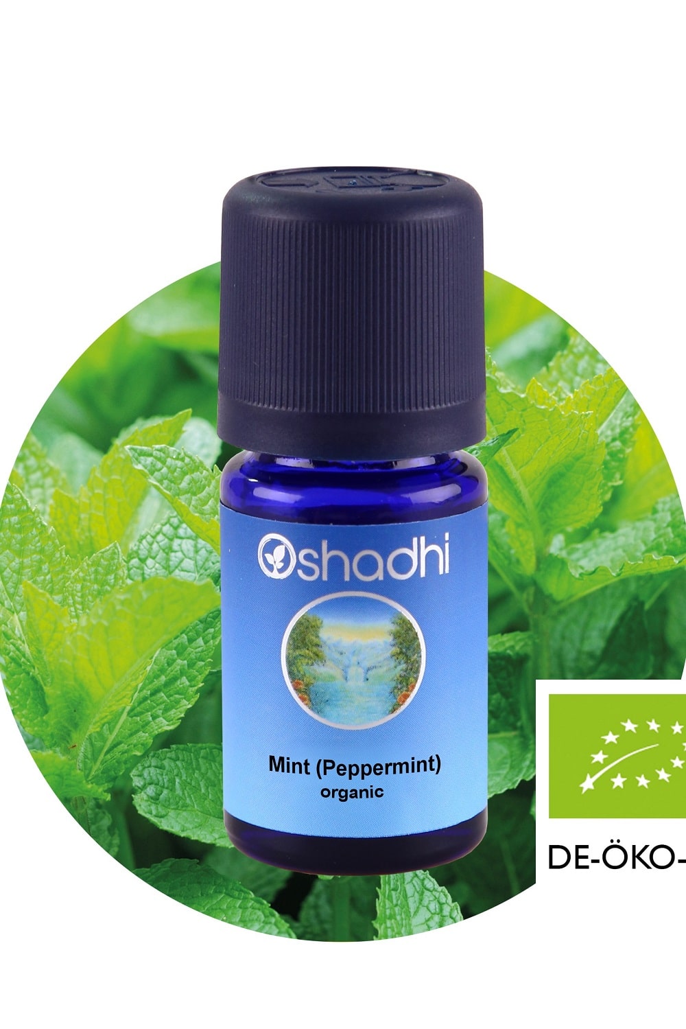Mint20Peppermint20organic-1.jpg
