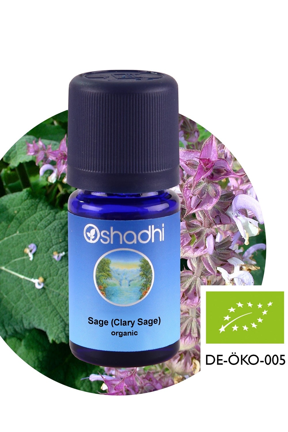 Sage20Clary20Sage20organic-1.jpg