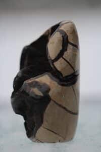geood-septarian-3.2