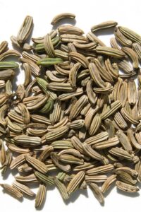 apteegitill 1000x1500 (1)