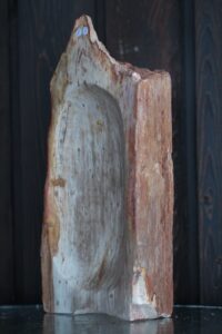 kauss-kivistunud-puit-klaarsus (2)