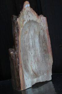 kauss-kivistunud-puit-klaarsus (3)