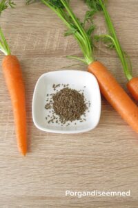 tsakralohn-1-klaarsus (3)