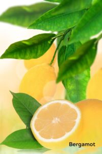 tsakralohn-6-klaarsus (1)