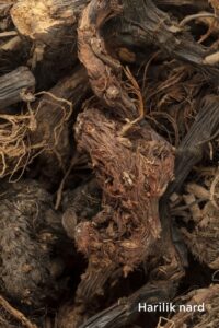 tsakralohn-7-klaarsus (1)