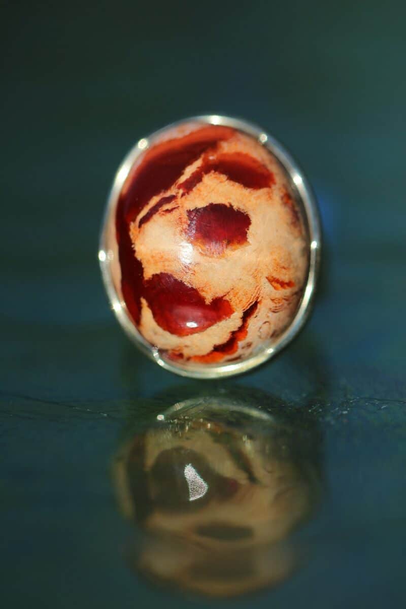 hobesormus-tuliopaal-klaarsus-1