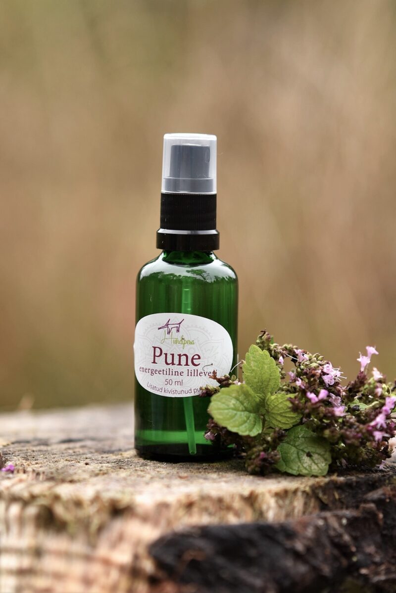 pune-hundipesa