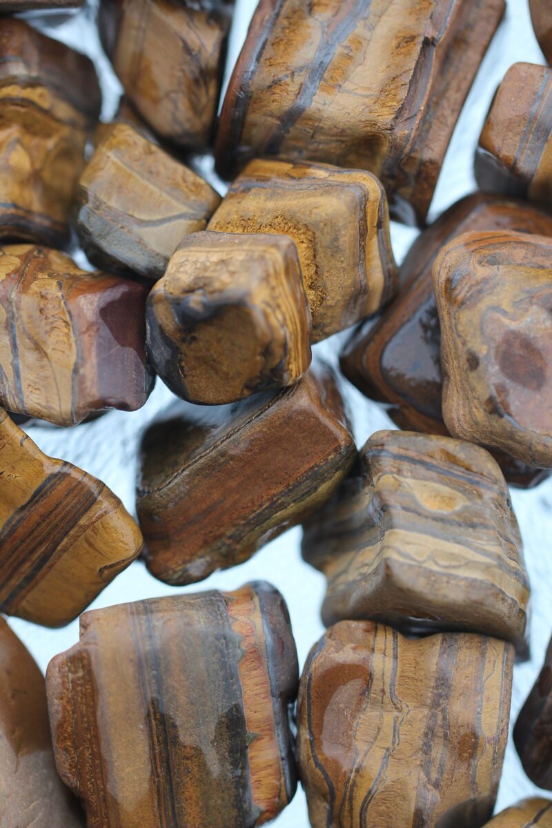 toorkivid-tiigrisilm-klaarsus-01.2022