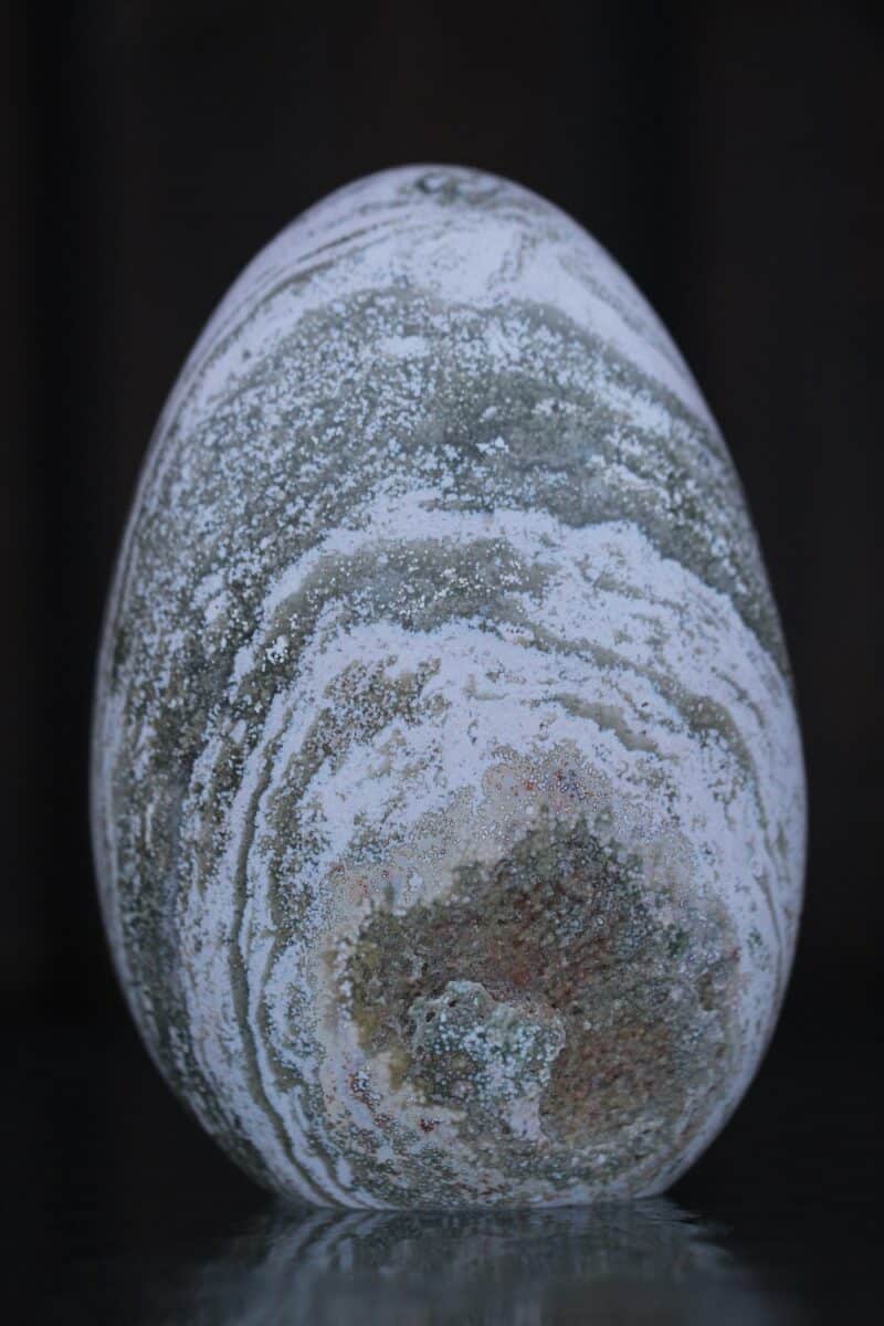 vabavormid-ookeanjaspis-klaarsus-1