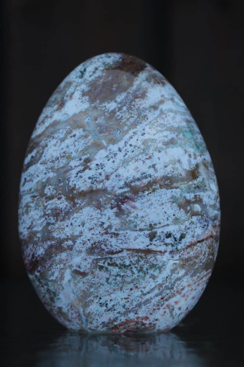 vabavormid-ookeanjaspis-klaarsus-12