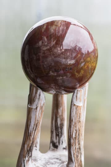 kuul-kivistunud-puit-klaarsus-1