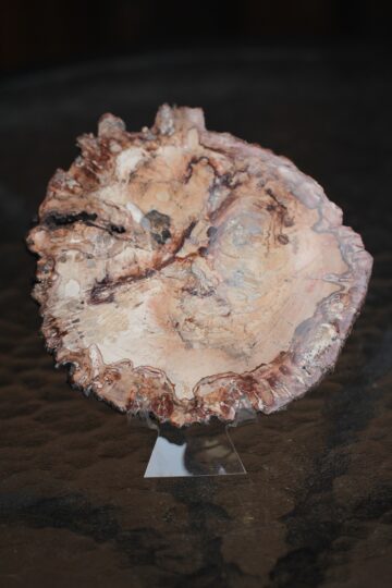 plaat-kivistunud-puit-vaike-klaarsus-1