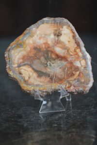 plaat-kivistunud-puit-vaike-klaarsus (4)