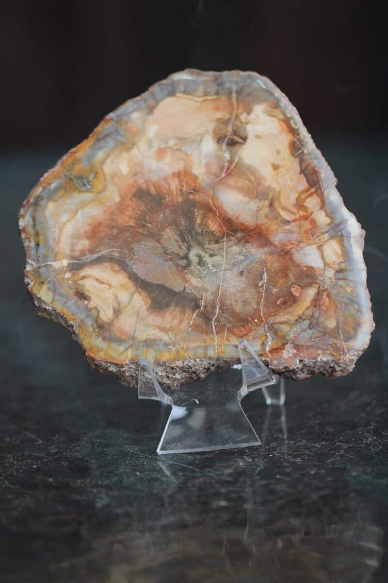 plaat-kivistunud-puit-vaike-klaarsus-4