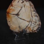 plaat-kivistunud-puit-vaike-klaarsus-5