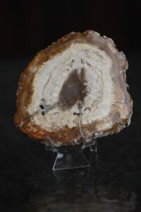 plaat-kivistunud-puit-vaike-klaarsus (6)