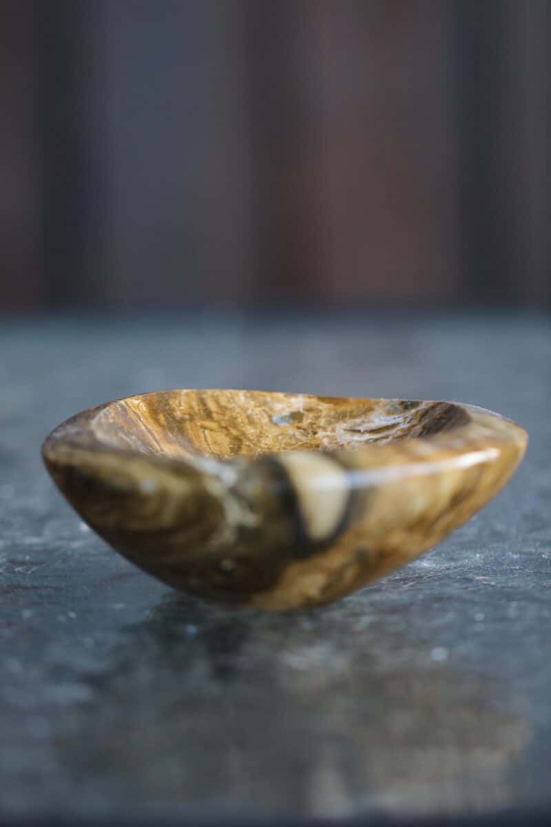 vabavorm-kausike-ookeanjaspis-klaarsus-1