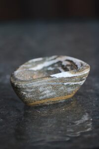 vabavorm-kausike-ookeanjaspis-klaarsus (6)