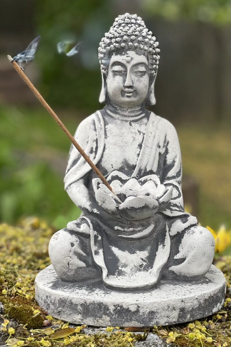 kujud-buddha-lootoseoiega-klaarsus