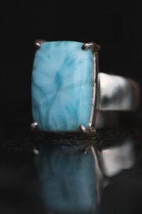 hobesormus-larimar-klaarsus-2022 (8)