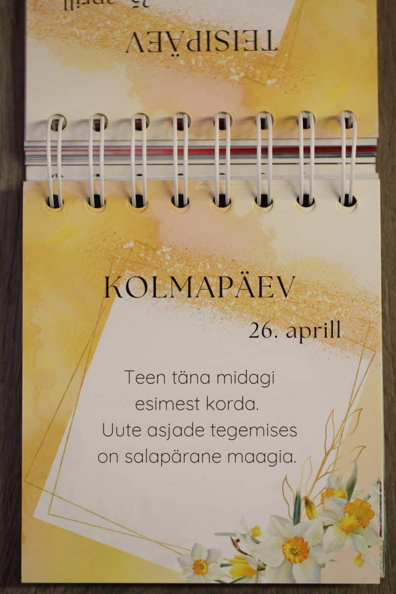 kaardid-inspiratsioonikalender-2023-klaarsus-4