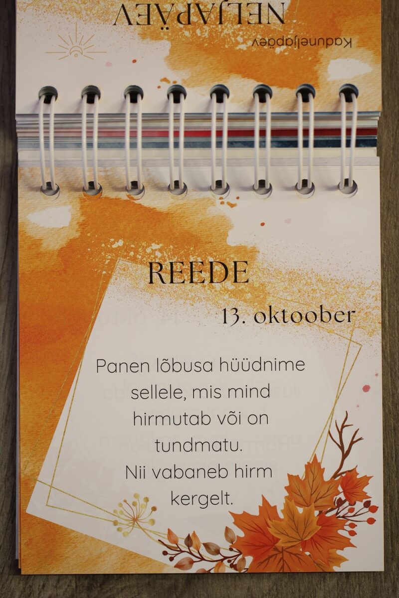 kaardid-inspiratsioonikalender-2023-klaarsus-6