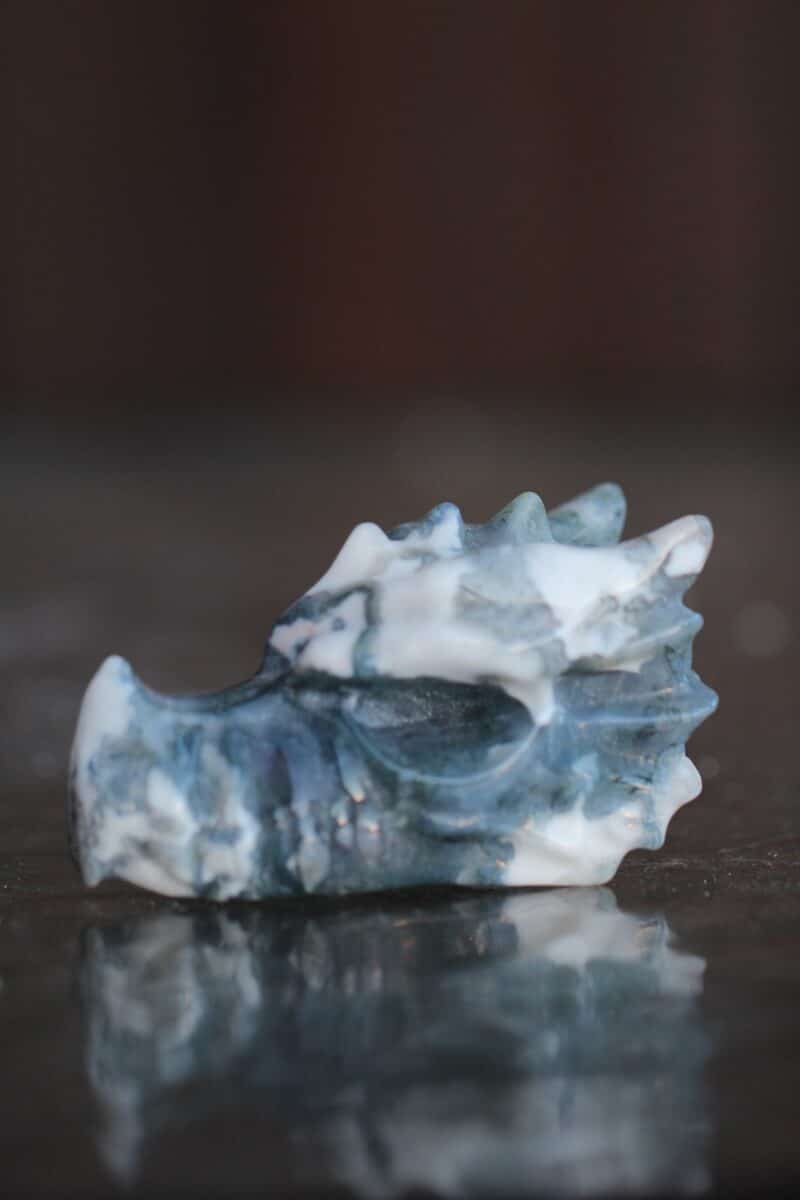 draakon-sammalahhaat-klaarsus-1