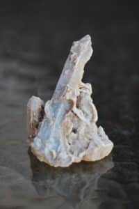 kobar-hingekvarts-klaarsus (5)