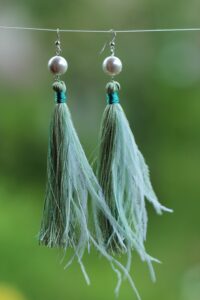 parl-korvarongad-klaarsus (5)