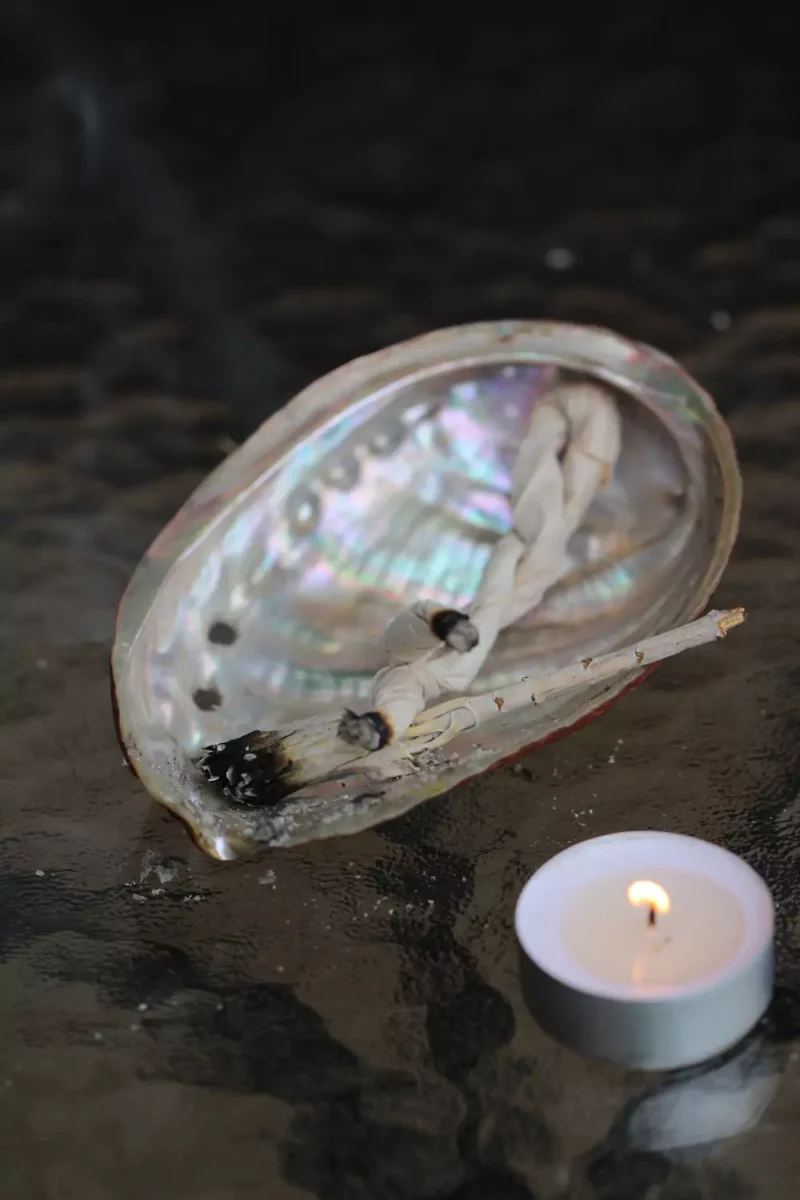 abalone-merekarp-klaarsus-5