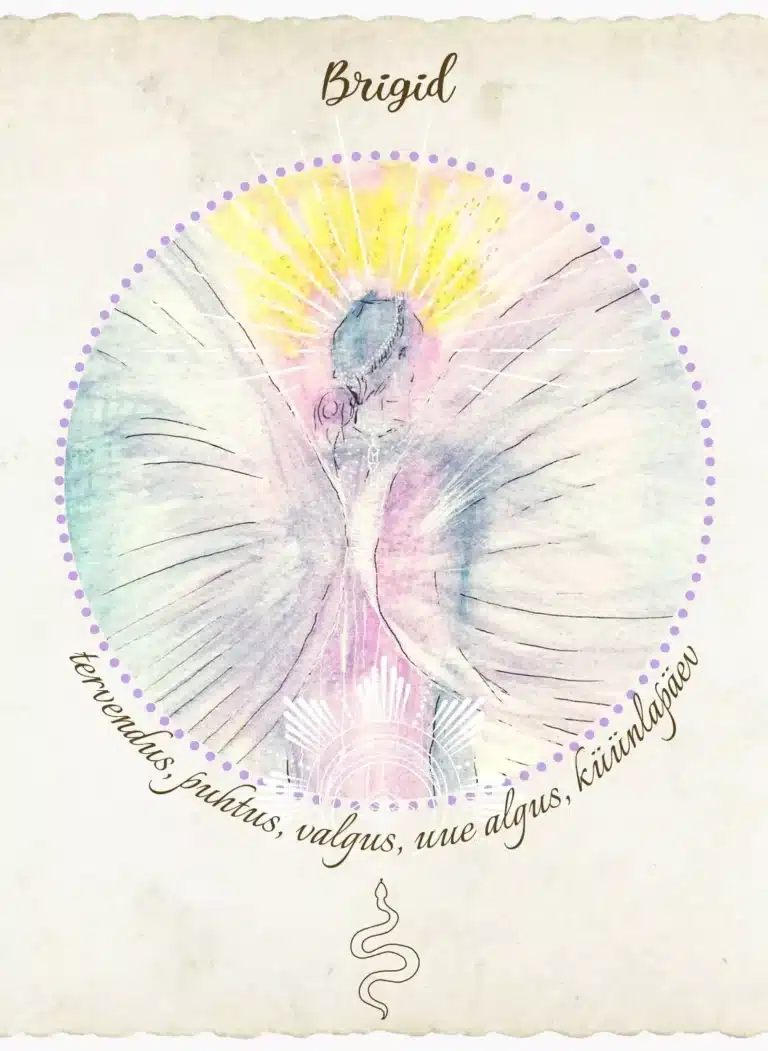 hingeringi-kaardid-klaarsus-2022-6